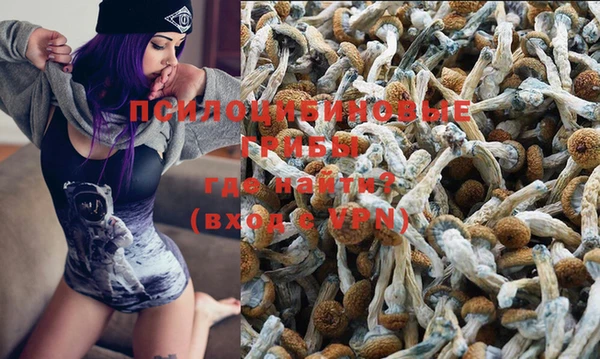 метадон Алексеевка
