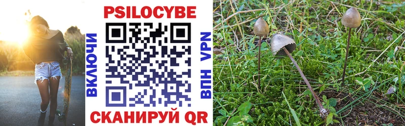 Псилоцибиновые грибы ЛСД  Апрелевка 