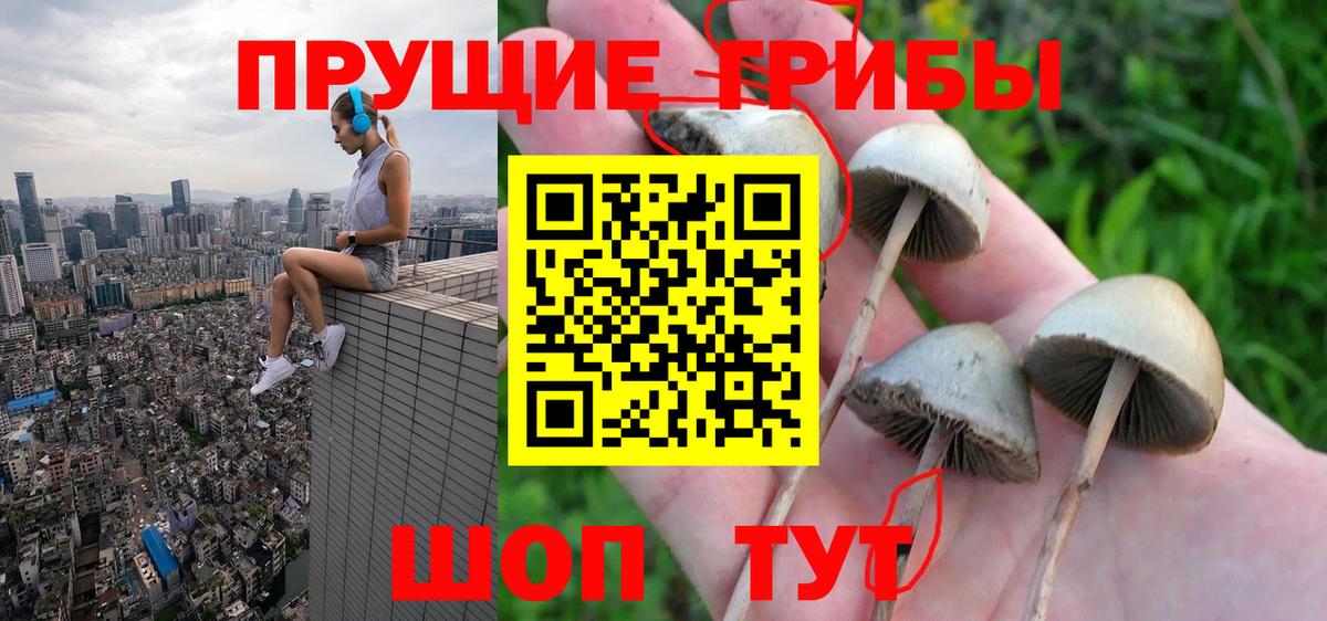 Псилоцибиновые грибы мухоморы  Вход с VPN  Галлюциногенные грибы GOLDEN TEACHER  Апрелевка 